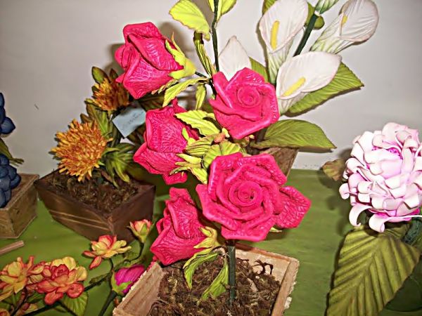 Rosa aberta