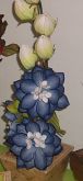 flor de eva