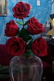 Rosa